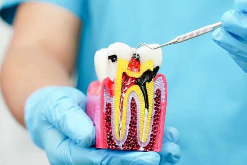 Raymore Family Dentistry|Family Dentistry